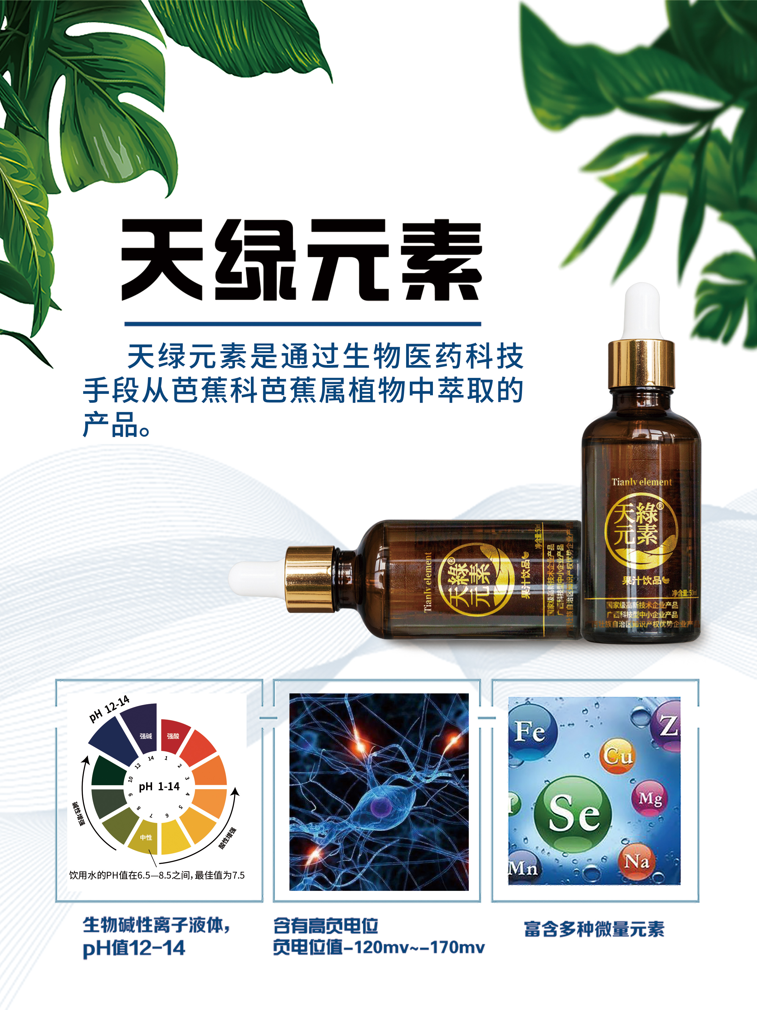 產(chǎn)品海報(bào)1-天綠元素45x60.jpg